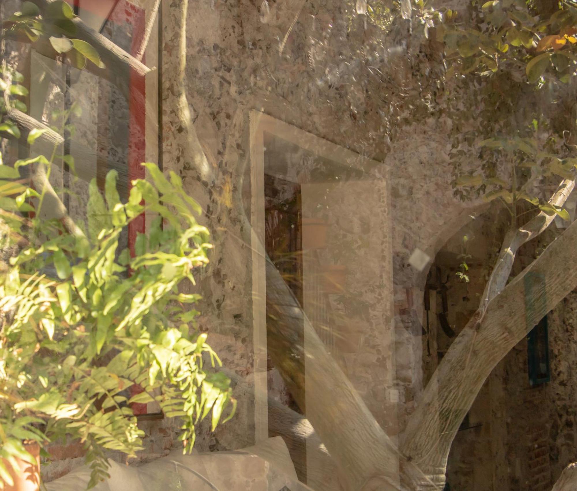 Orchid House San Miguel De Allende Exterior foto